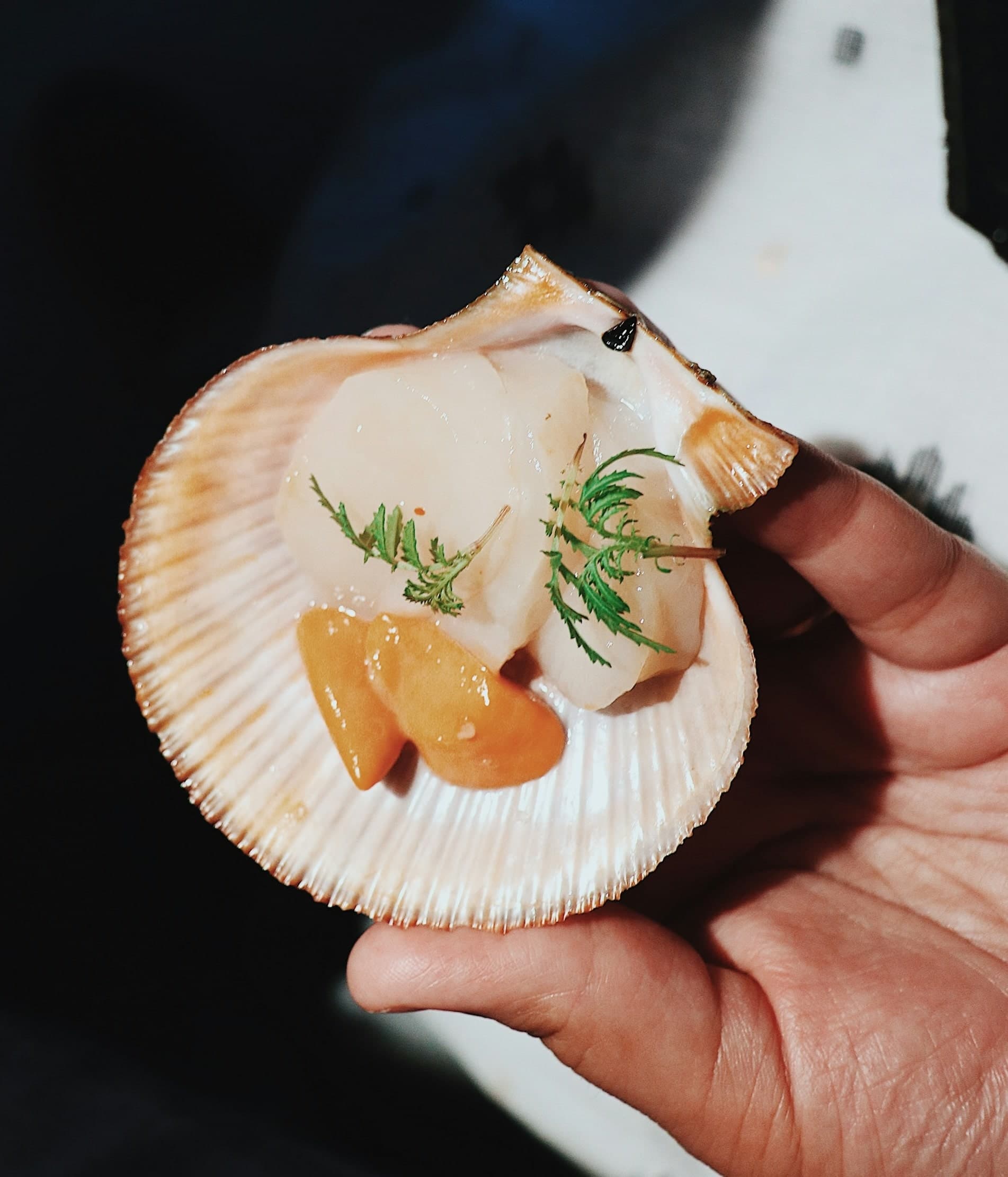 Asian Fusion presentation 1